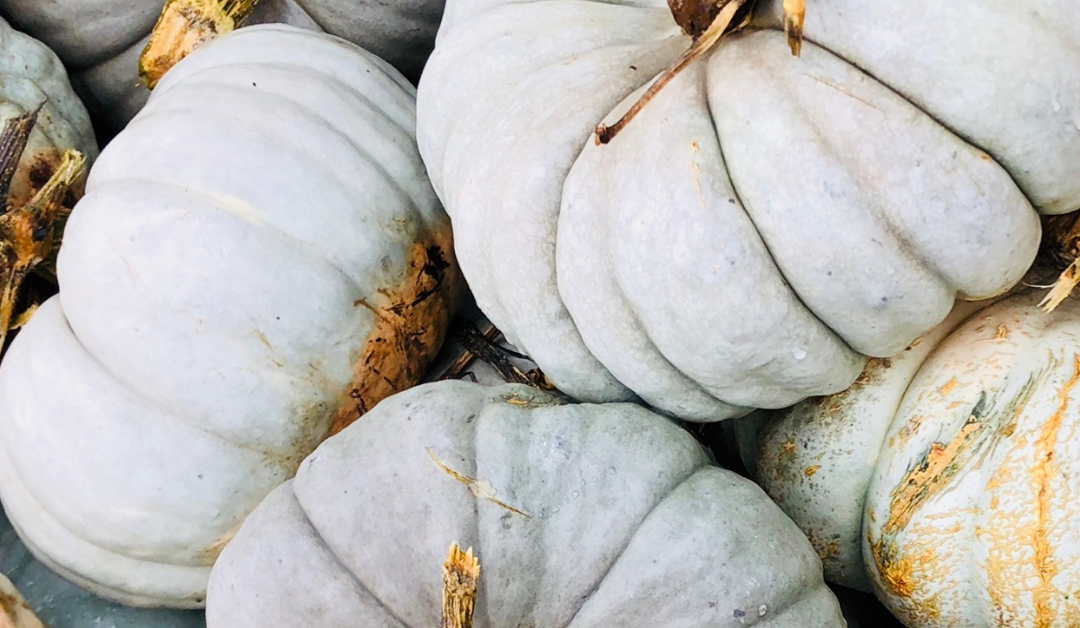 My Fall Picks – From Pumpkins to Flora, oh and Don’t forget the Scents