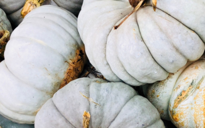 My Fall Picks – From Pumpkins to Flora, oh and Don’t forget the Scents