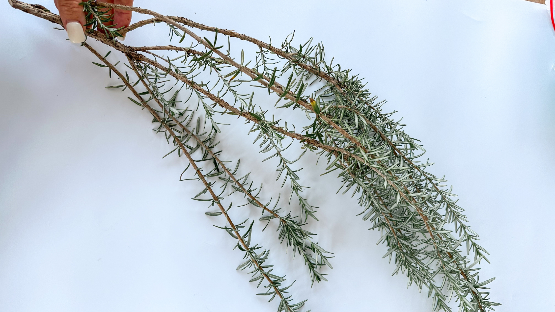 Rosemary DIY Christmas craft