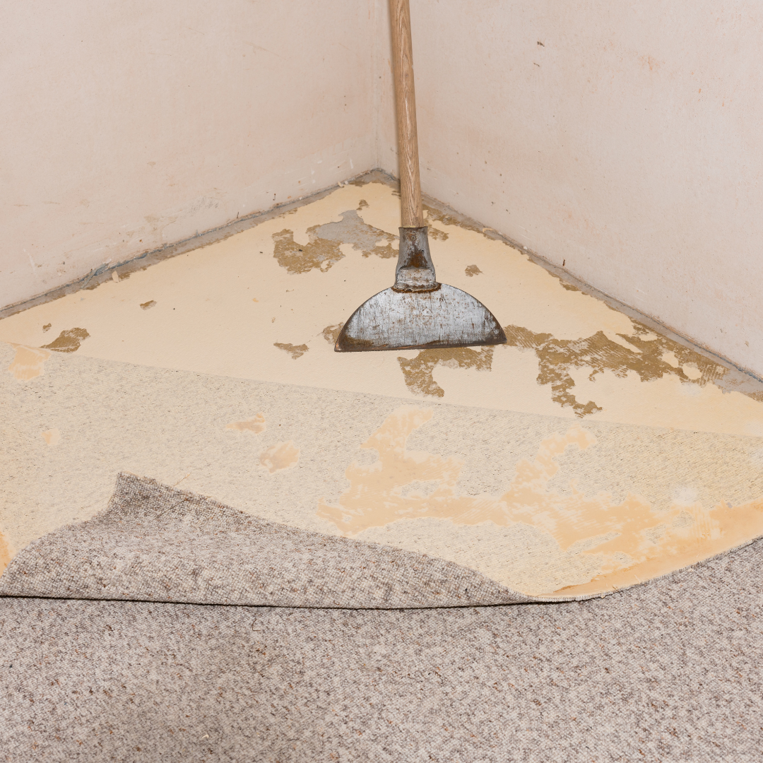 scraping old carpets with a scraper