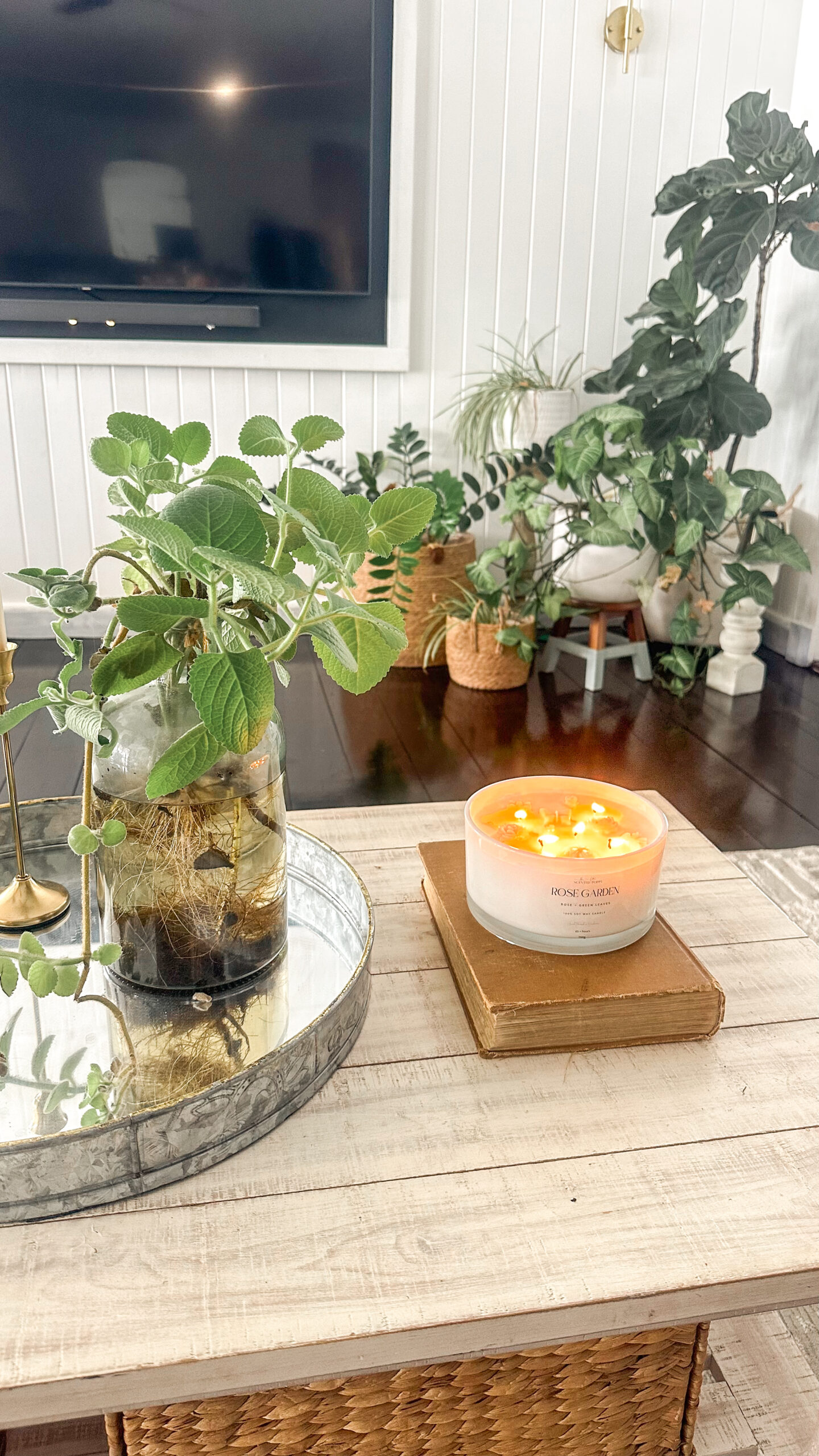 IMG_5391_jpg Lit candle, living room home decor, home decor